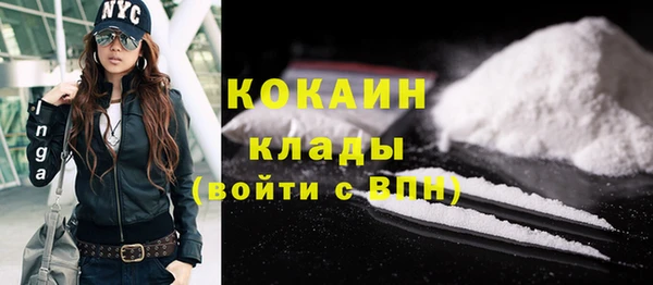 гидра Абаза