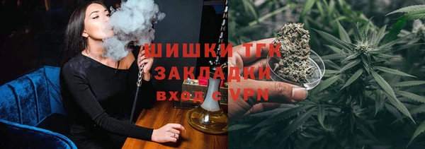 гидра Абаза