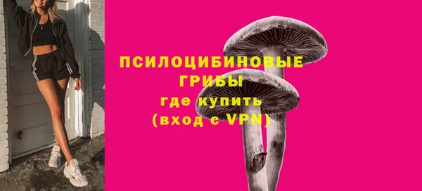 тгк Абдулино