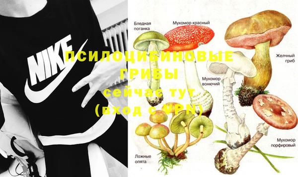 тгк Абинск