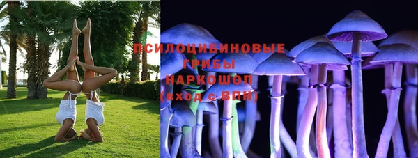 гидра Абаза