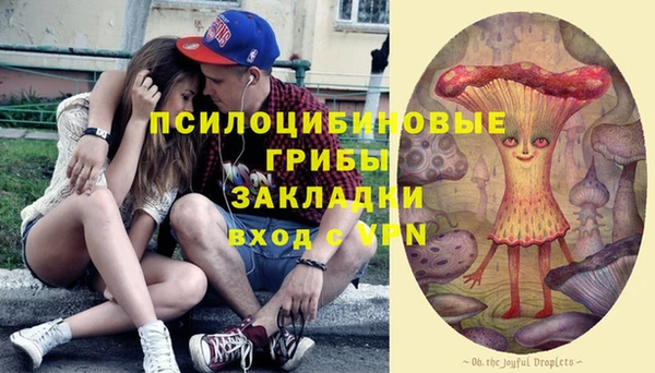 тгк Абинск