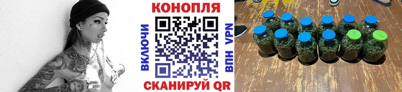 Каннабис SATIVA & INDICA купить наркоту Щёлкино